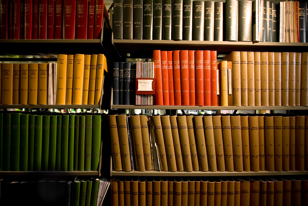 seo, search engine optimization, online marketing, writing good content, good seo content